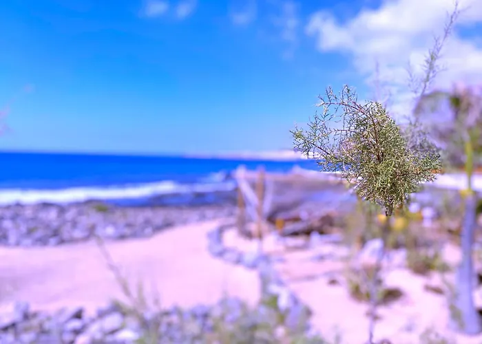 Tropicalidays Olas Daire *