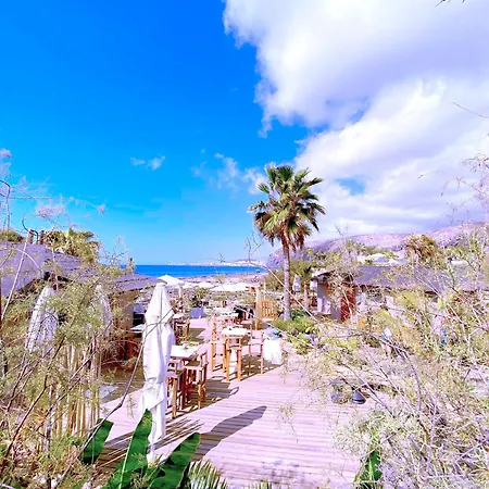 Tropicalidays Olas * パルム・マール