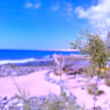 Tropicalidays Olas Апартаменты *